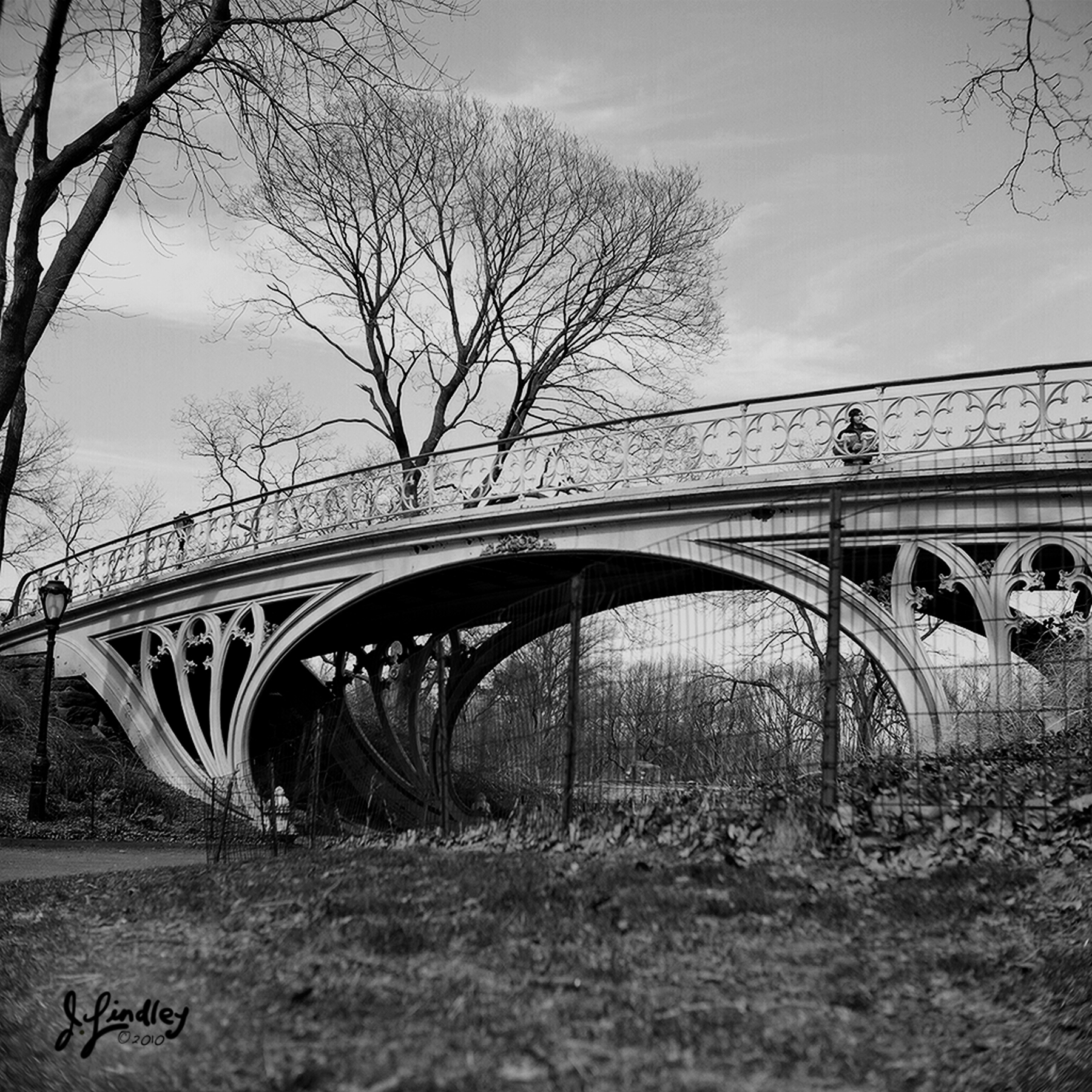 centralparkBRIDGE