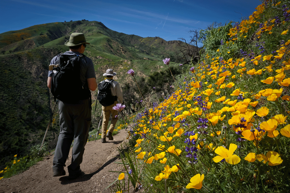 Two hikers flowers Aliso Trail WBC 2016 by Cara Peden