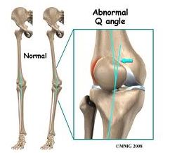 knee skeleton